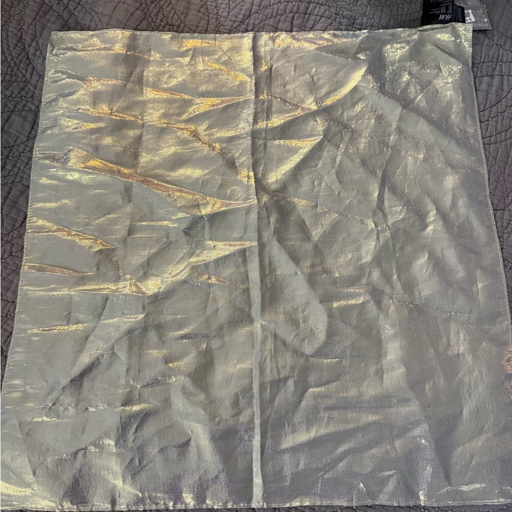 H&M Shimmering Silver Scarf